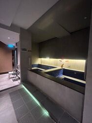 Furama Riverfront (D3), Retail #614497621
